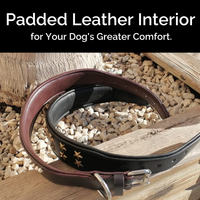 Collar de Cuero Genuino para Perros – Estilo Punk con Tachuelas –