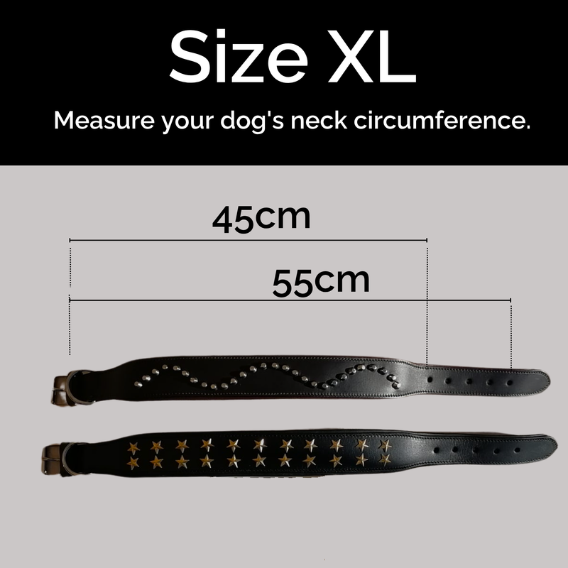 Collar de Cuero Genuino para Perros – Estilo Punk con Tachuelas –