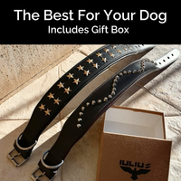 Collar de Cuero Genuino para Perros – Estilo Punk con Tachuelas –