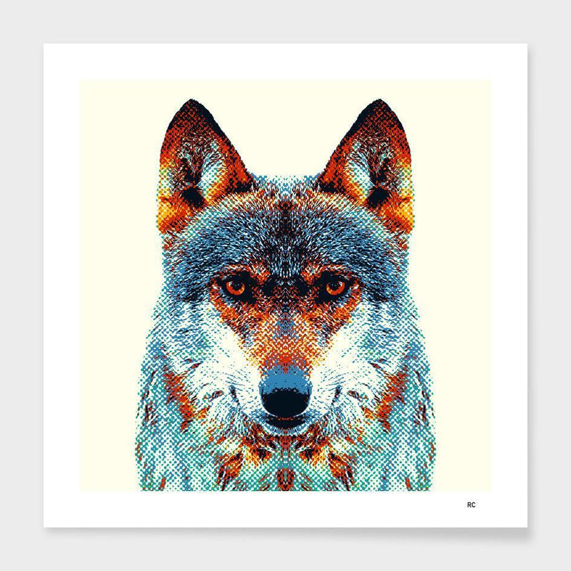 Wolf - Colorful Animals  Frame